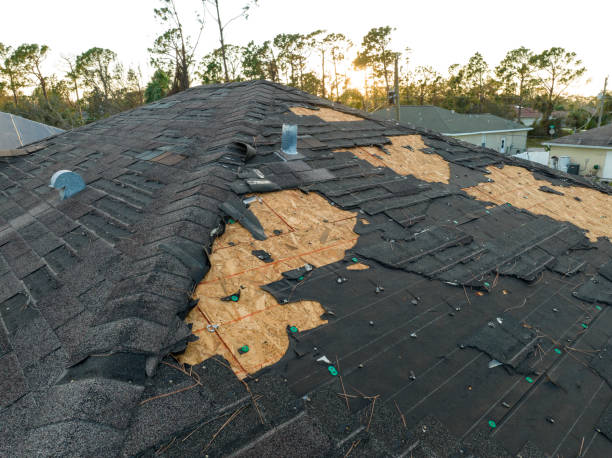 Gutter Replacement in Watsessing, NJ